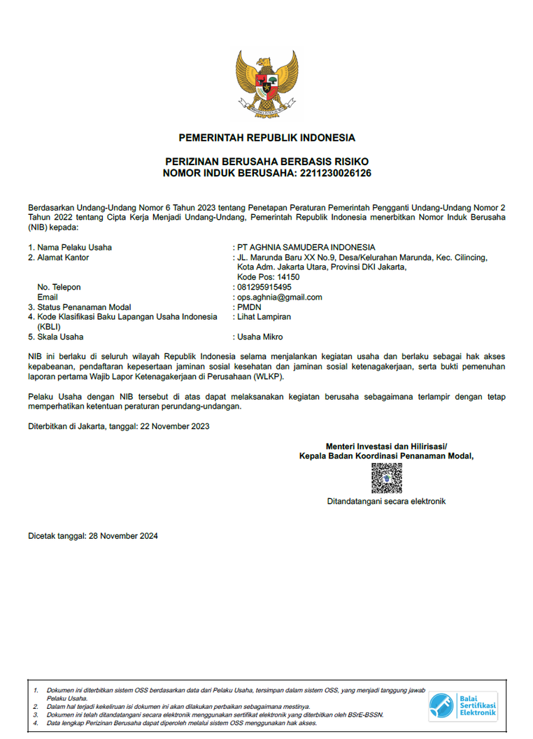 Preview of Business Identification Number (NIB)